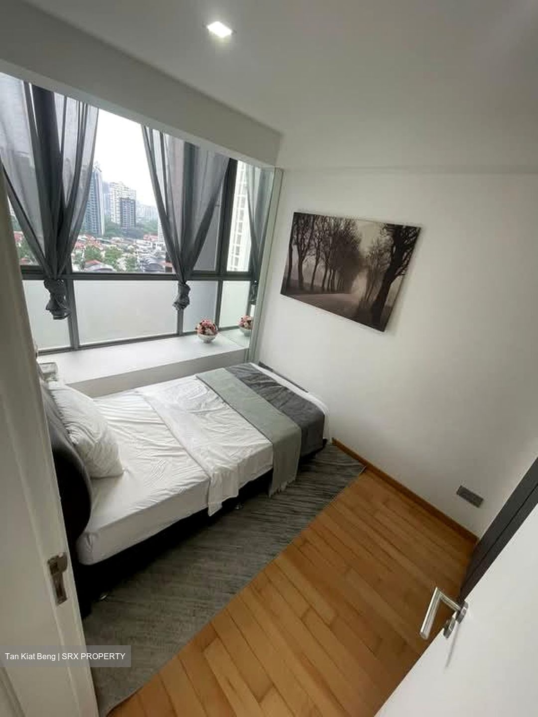 Angullia Park Residences @ Orchard (D10), Apartment #566141981
